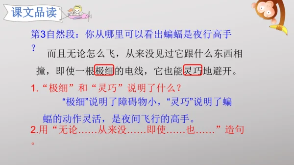 6 夜间飞行的秘密   课件