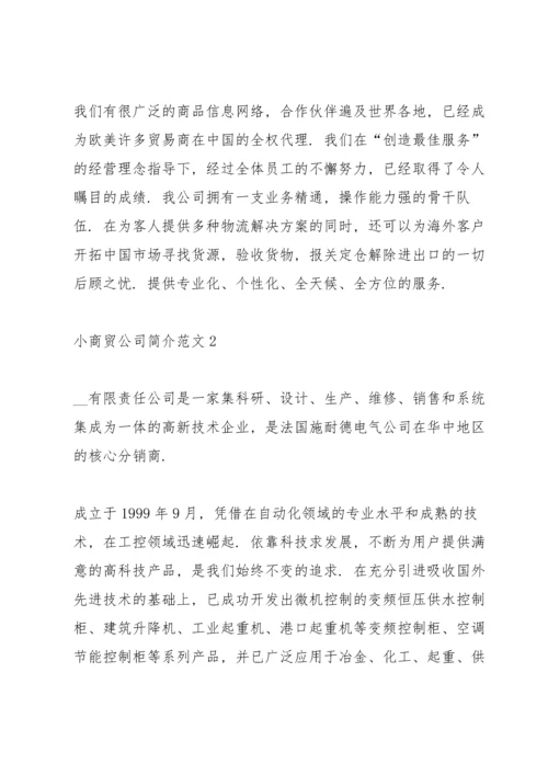 小商贸公司简介范文.docx