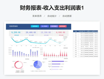 财务报表-收入支出利润表1