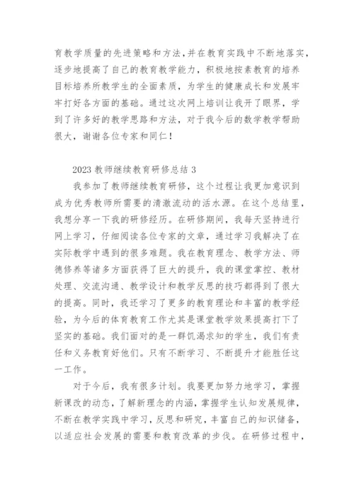 2023教师继续教育研修总结.docx