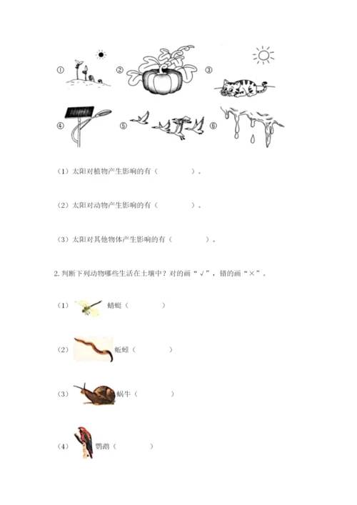 教科版二年级上册科学期末测试卷精品（名师推荐）.docx