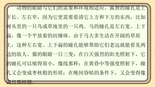 统编版语文六年级上册主题八　科学智慧 阅读与写作指导课件