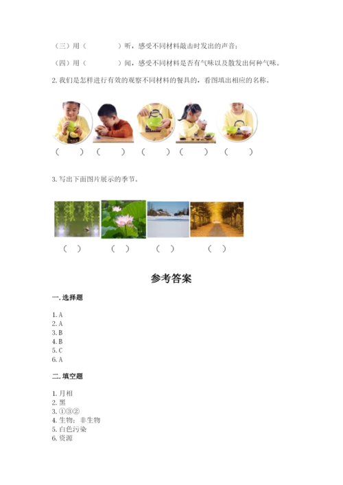教科版二年级上册科学期末测试卷带答案（培优b卷）.docx