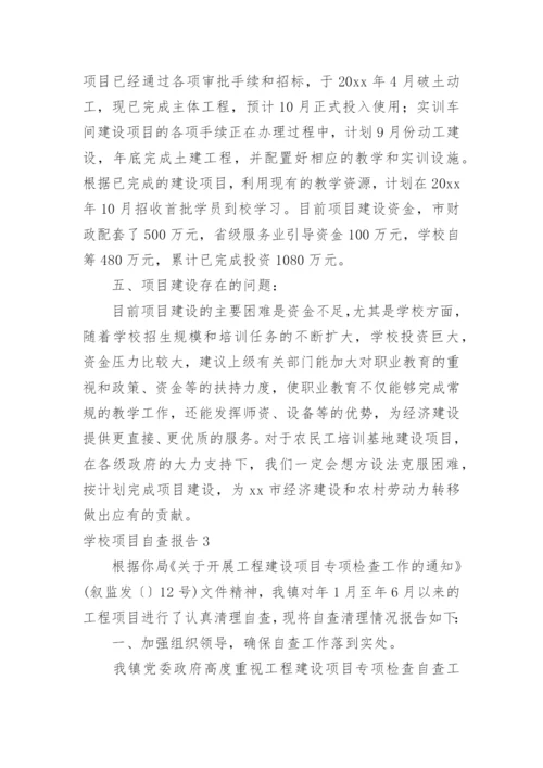 学校项目自查报告.docx