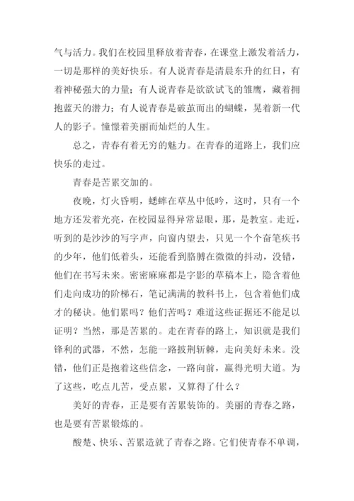 多味的青春路作文.docx