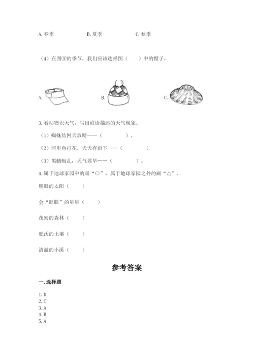 教科版科学二年级上册期末测试卷精品（网校专用）.docx