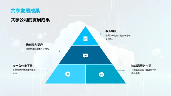 20XX年度业务盛绩