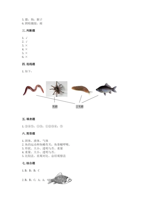 教科版一年级下册科学期末测试卷带答案（实用）.docx