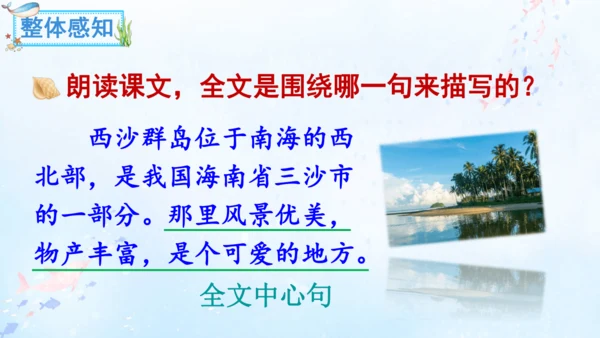 18.富饶的西沙群岛   课件