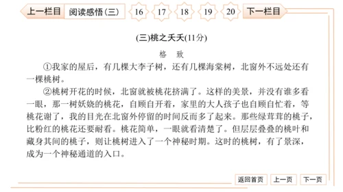 统编版八上语文第二次月考综合检测卷 习题课件（41张PPT）