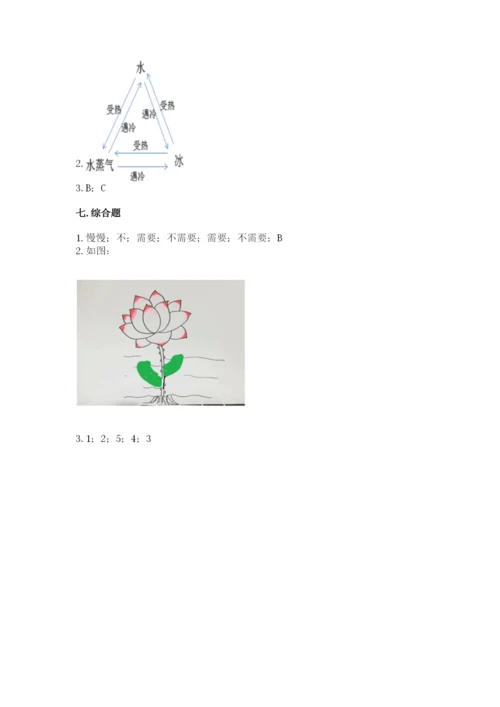 教科版科学一年级上册第一单元《植物》测试卷（综合题）.docx