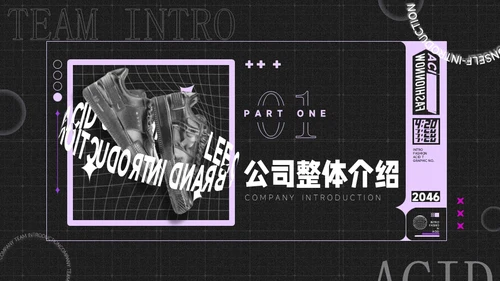 酸性风时尚潮牌鞋品牌介绍通用PPT模板
