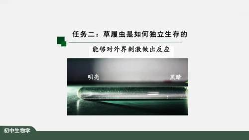 2.2.4 单细胞生物 课件（共24张PPT）