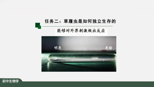 2.2.4 单细胞生物 课件（共24张PPT）