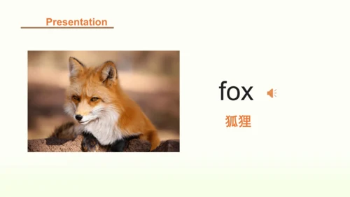 Unit 3 Amazing animals 第四课时课件（32张PPT，内嵌音视频)