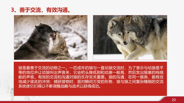 狼性文化企业培训PPT模板