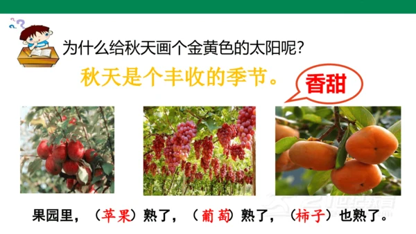 课文3 四个太阳