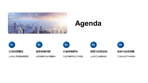 半年业绩回顾与展望