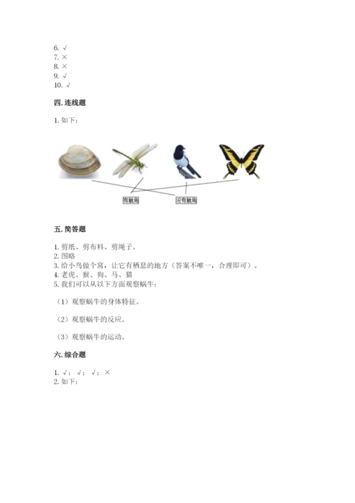 教科版一年级下册科学期末测试卷标准卷.docx
