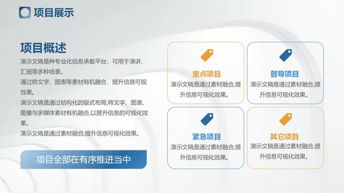 欧美简约风工作总结汇报