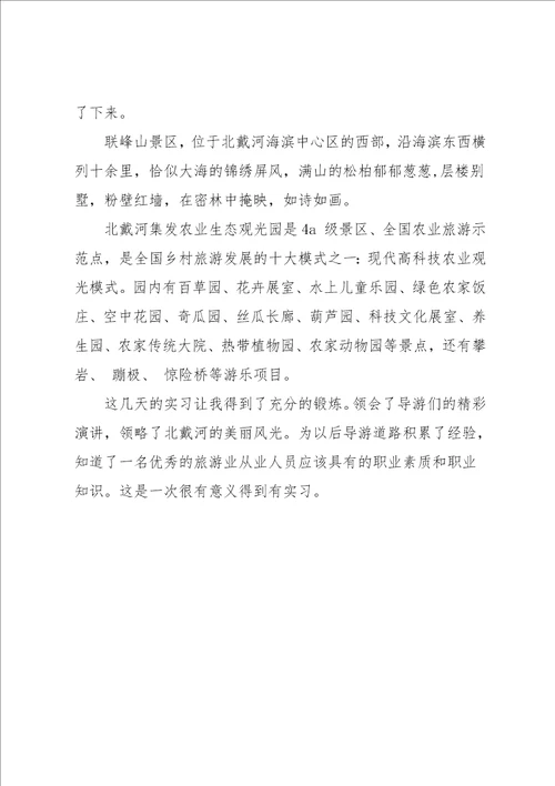 导游实习报告范文精编