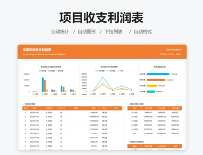 项目收支利润表