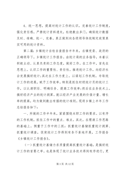 乡镇统计自检自查报告.docx