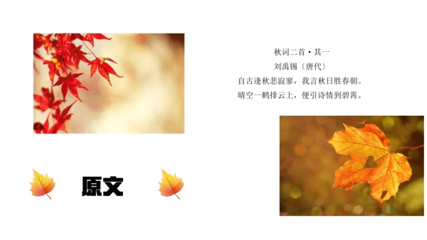七年级语文上册第六单元课外古诗词 秋词（其一）课件(共19张PPT)