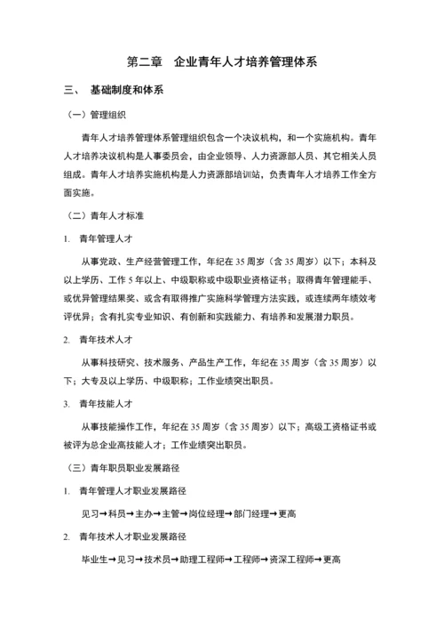 公司青年人才培养专业方案.docx