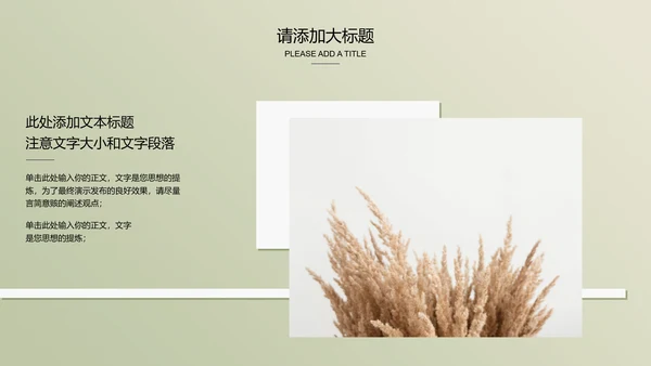 浅绿色极简光影小清新通用PPT演示模板