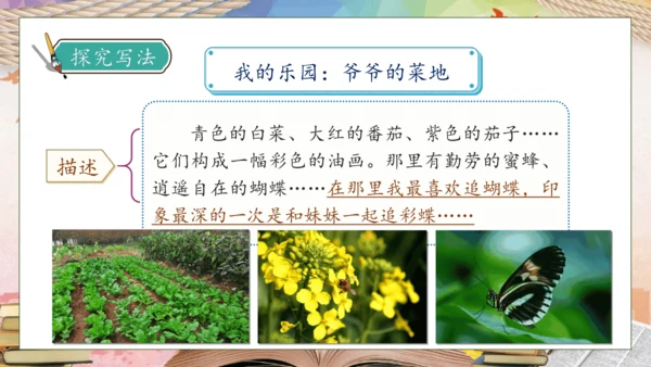 【核心素养】部编版语文四年级下册-习作1：我的乐园（课件）