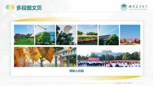 湖南农业大学毕业课题答辩通用PPT模板