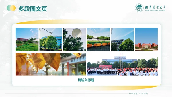 湖南农业大学毕业课题答辩通用PPT模板