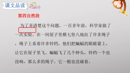 6 夜间飞行的秘密   课件