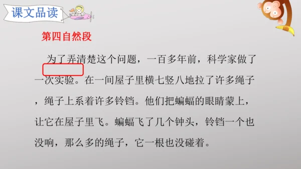 6 夜间飞行的秘密   课件