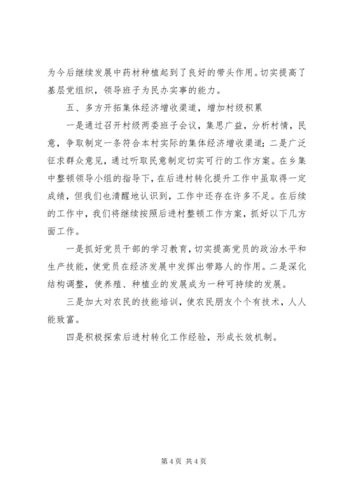 后进村整顿汇报材料 (3).docx