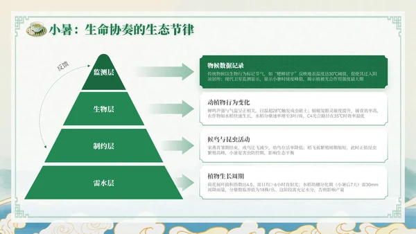 绿色中国风小暑节气讲解节气知识