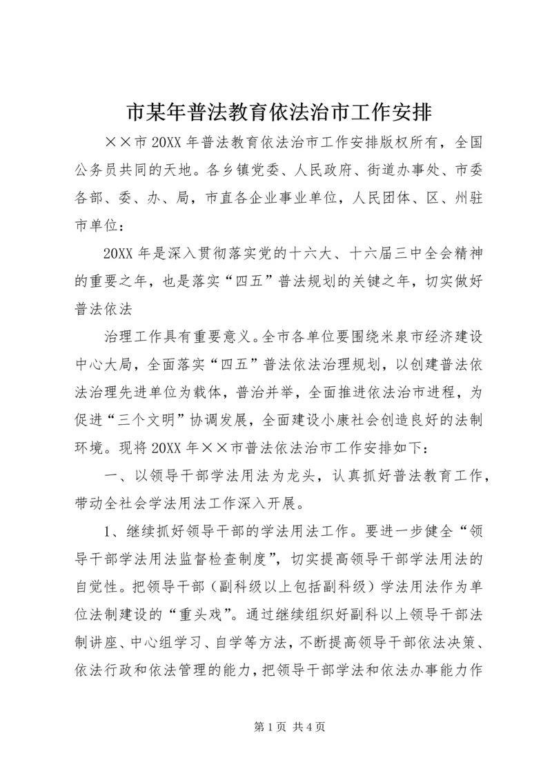 市某年普法教育依法治市工作安排 (7).docx