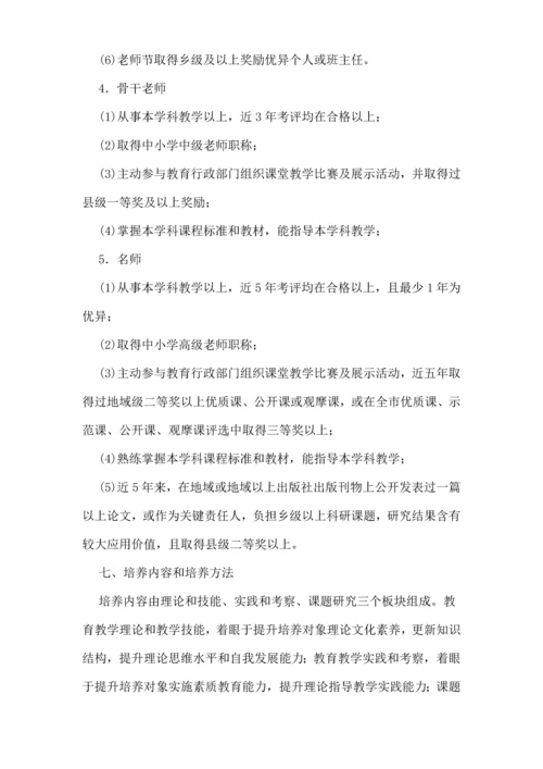 学校教师梯级发展培养综合项目工程实施专项方案.docx