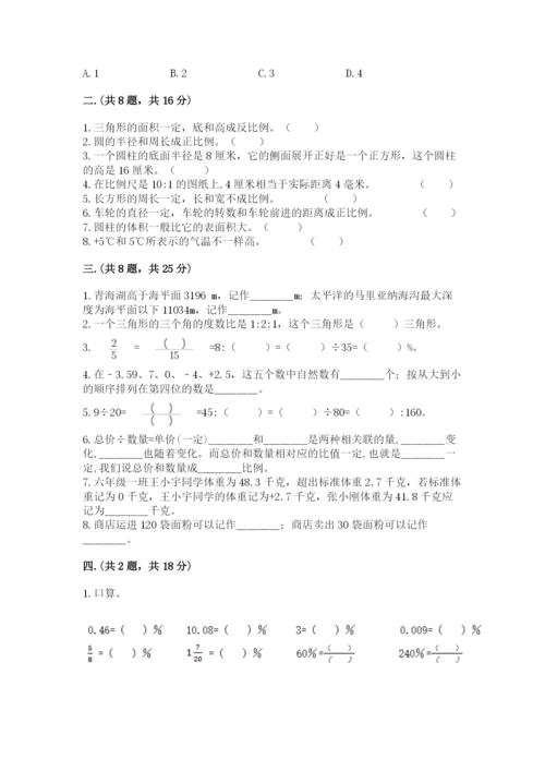 人教版数学六年级下册试题期末模拟检测卷【综合卷】.docx