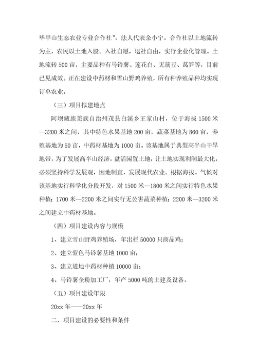 关于项目建议书模板集锦7篇