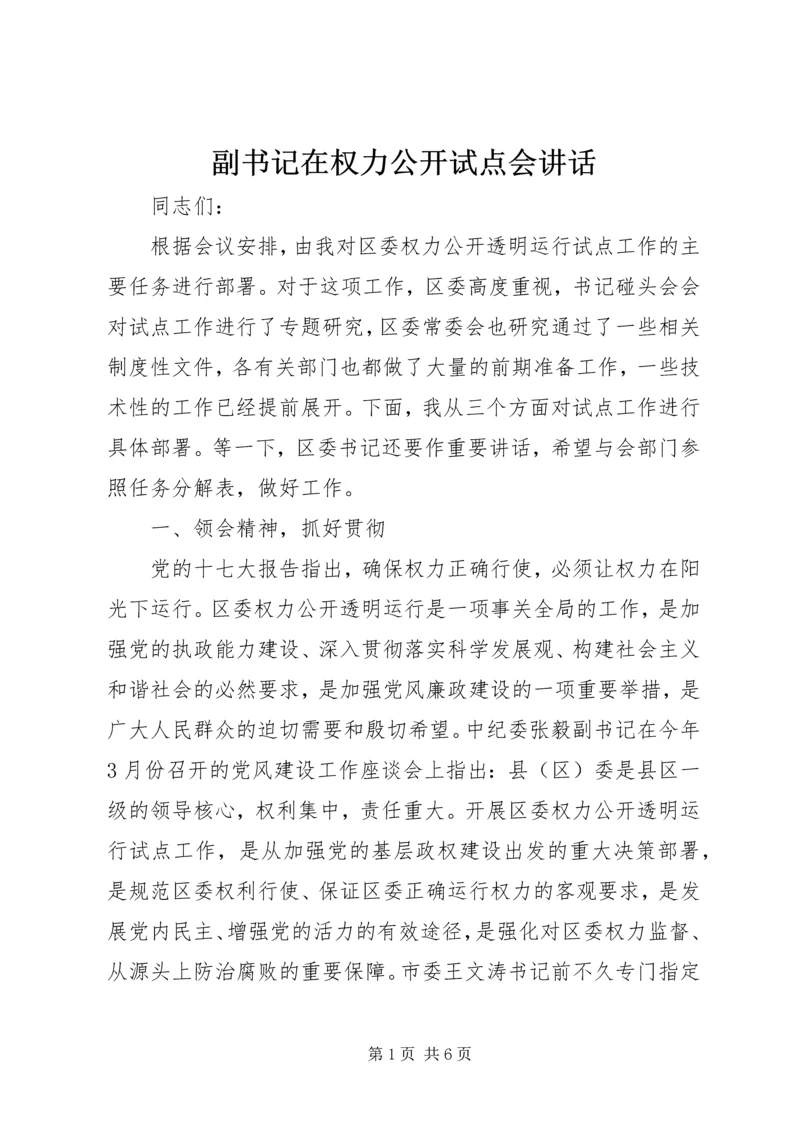 副书记在权力公开试点会讲话.docx