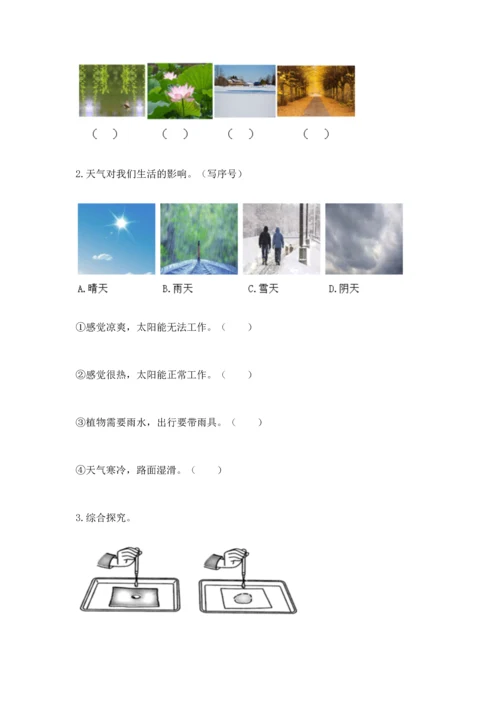 教科版科学二年级上册《期末测试卷》及答案【全优】.docx