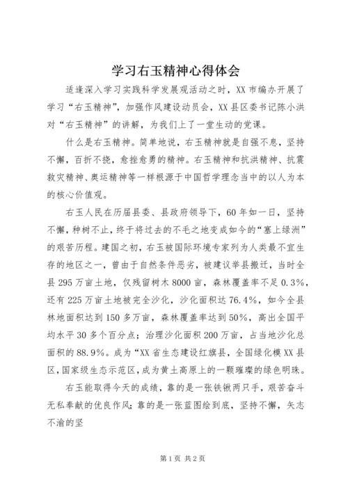 学习右玉精神心得体会 (4).docx