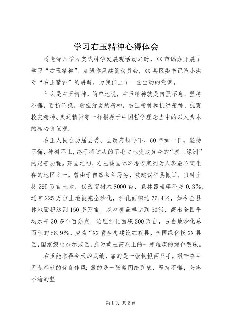 学习右玉精神心得体会 (4).docx