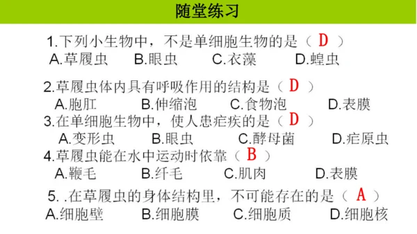 人教版生物七年级上册1.3.4 单细胞生物 教学课件（共22张ppt）+视频素材