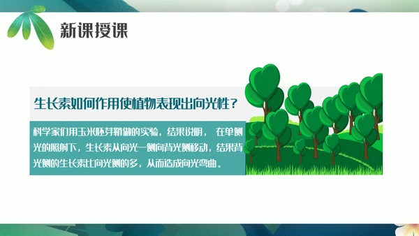 植物生长素的发现生物课件通用PPT模板