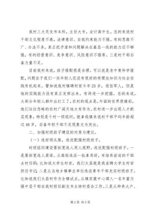 昌图=调研报告加强村级党组织建设的实践与思考5篇 (4).docx