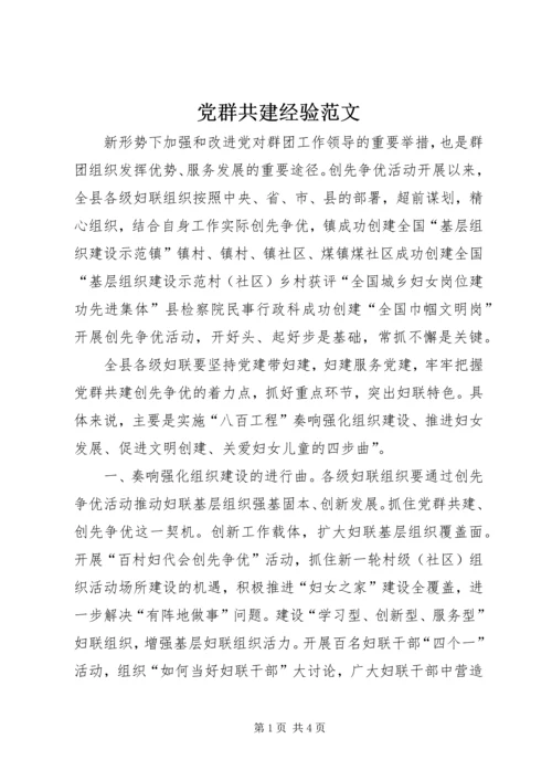 党群共建经验范文.docx