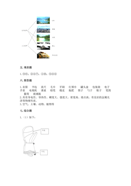 教科版科学二年级上册《期末测试卷》【培优】.docx